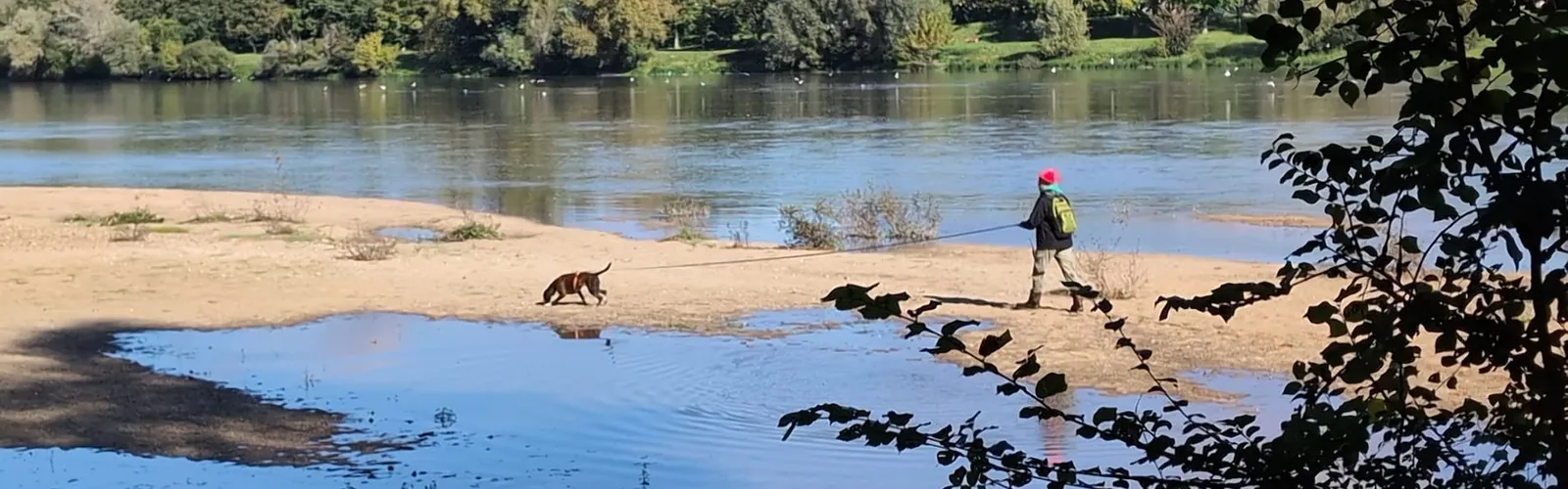 Wandelen met de hond langs de Loire